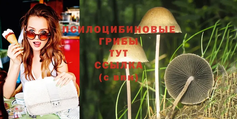 даркнет сайт  Инза  Псилоцибиновые грибы Psilocybine cubensis 